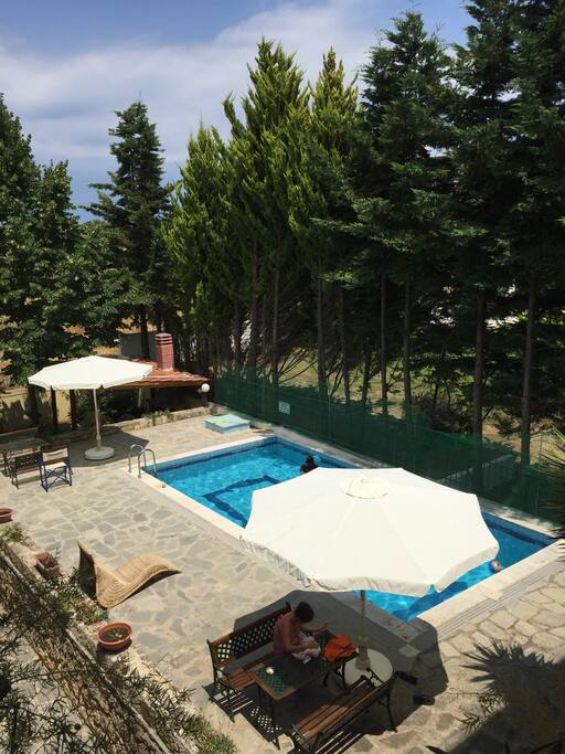 Swimming pool in the back yard