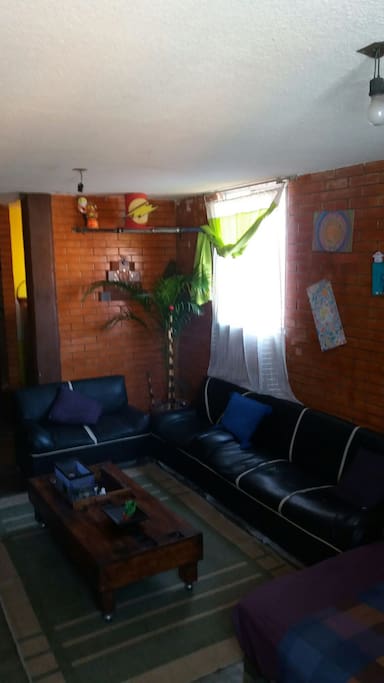 plantas y accesoriis de decoracion