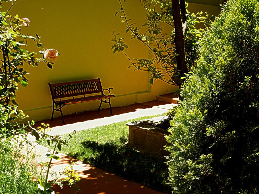 Yard