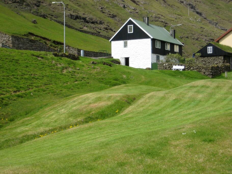 View from the plot.