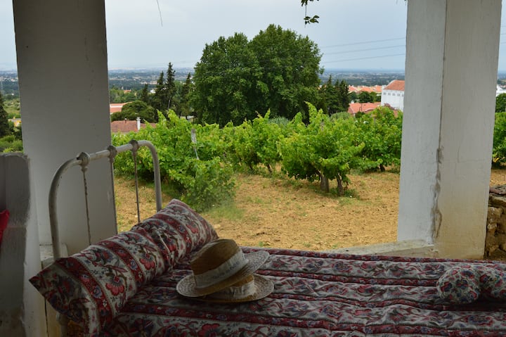 Vinyards