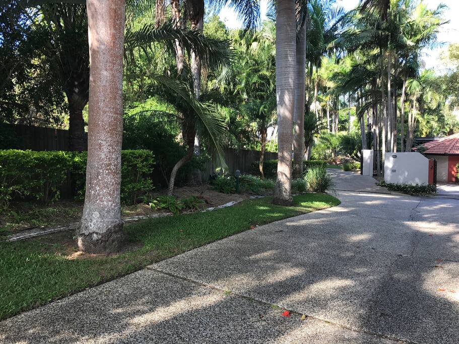 Driveway from the street to our front gates