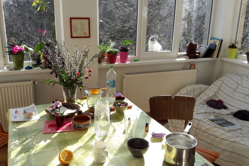 The famous and very much loved kitchen and living room in the same time. It is the heart of the house. This is how it looks like in a regular morning.