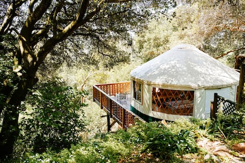 Yurt rentals