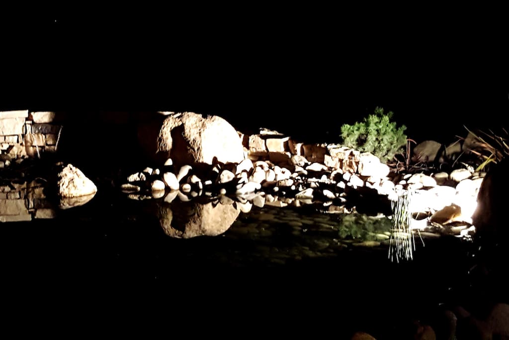 Le bassin et son doux bruit d'eau