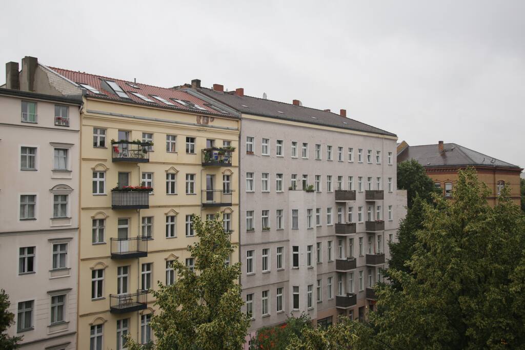 the street - window view