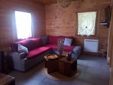 Successful Airbnb property: Chalet 2/5 pers _ LA BRESSE_ near Bol d 'Air in La Bresse