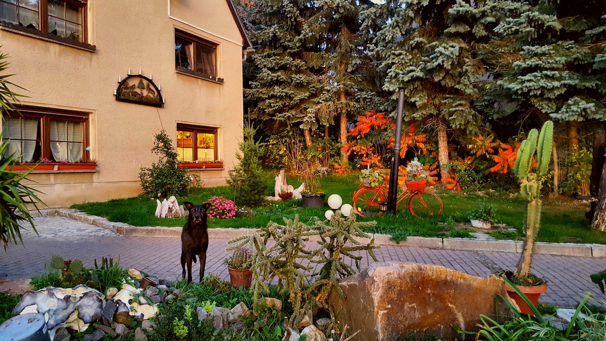An inviting garden area is visible in front of a house, featuring various plants and decorative stones. A bicycle stands in the background, and a dog is present, adding a friendly touch. Soft lighting from the house's windows creates a welcoming ambiance.