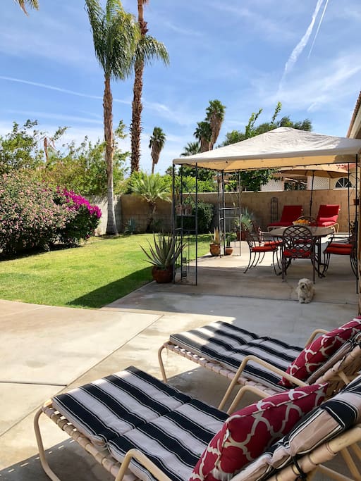 Plenty of chaise loungers