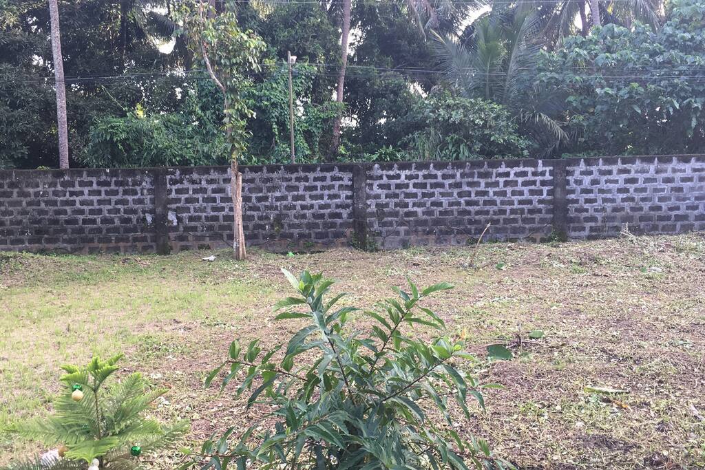 Frontyard