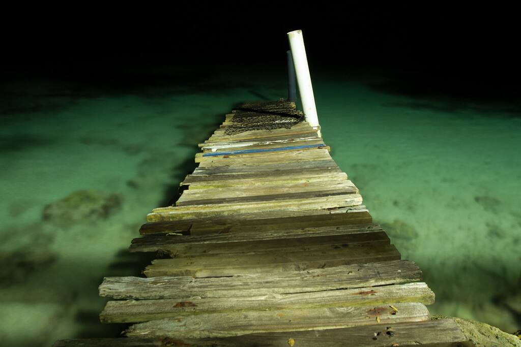 A romantic night hearing the sound of waves