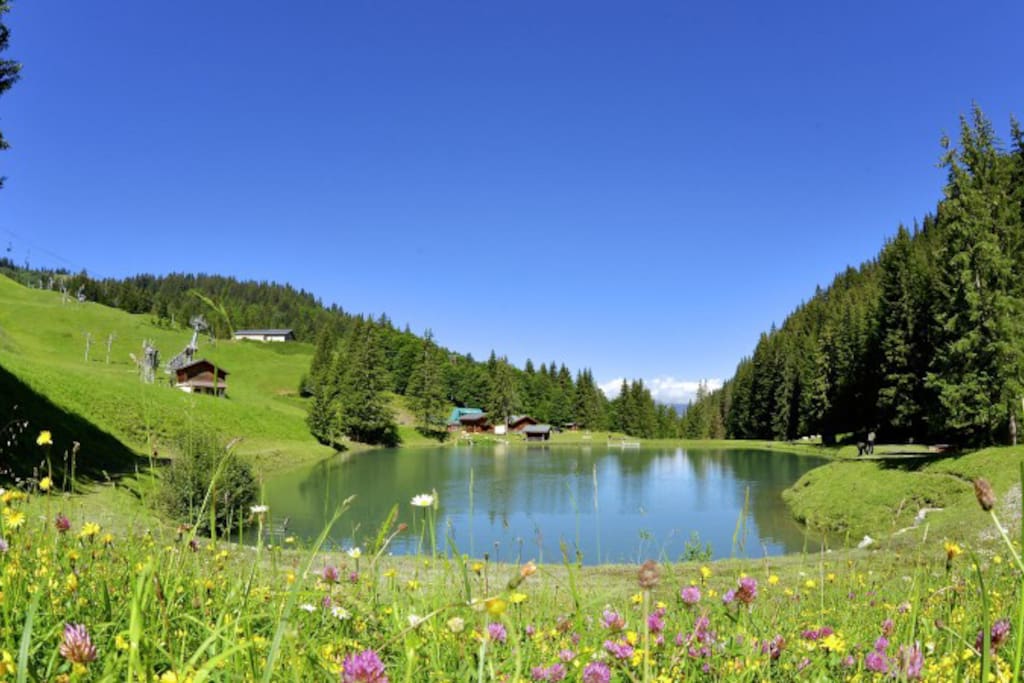 Le lac. Une belle ballade à faire au départ du chalet
