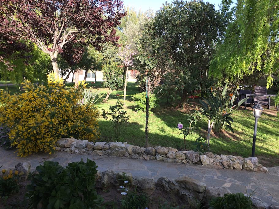 Un angolo del giardino