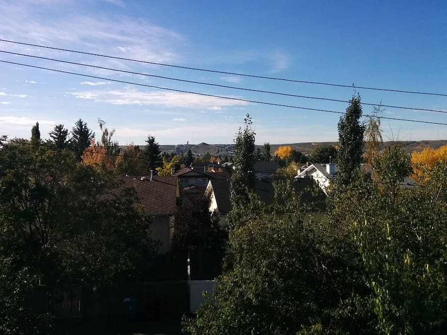 South View