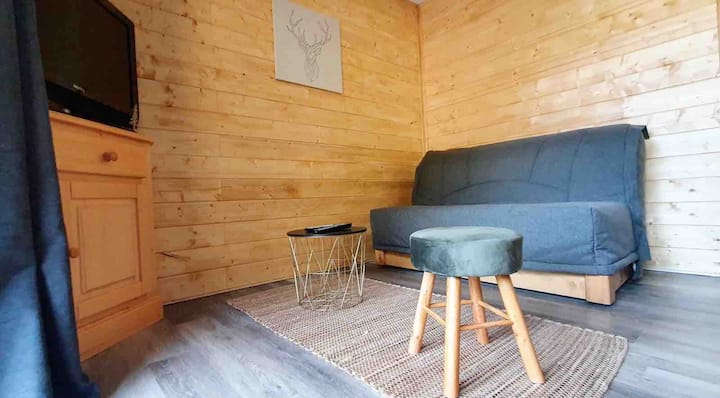Studio Avec Accès Piscine, Au Pied Des Pistes - Haute-Savoie