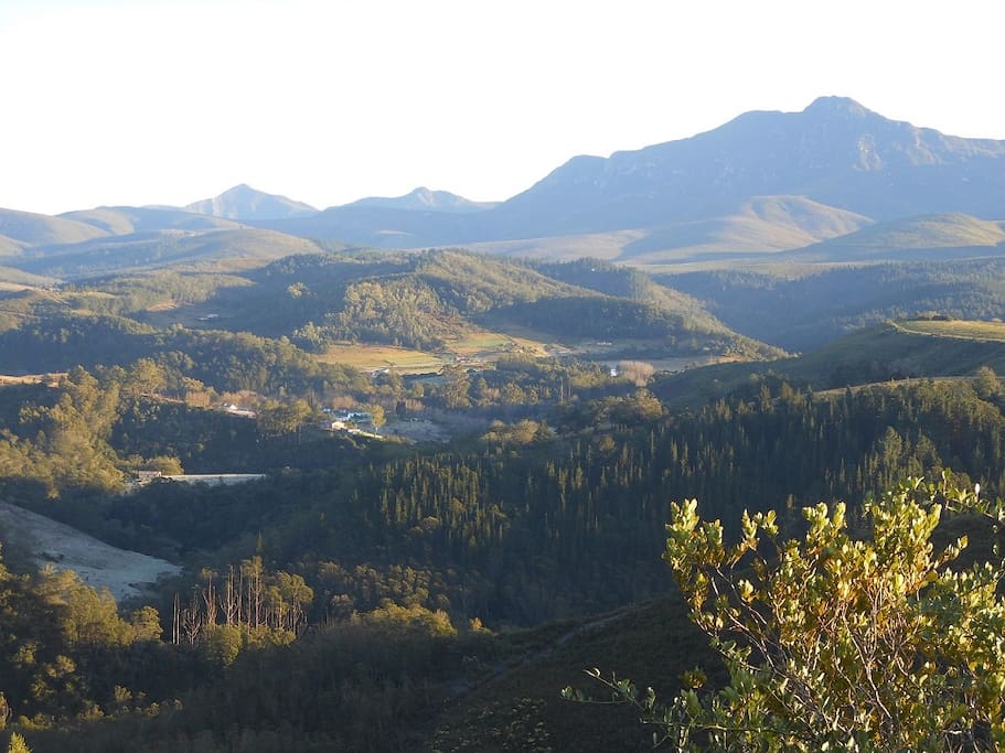 Mountain veiws