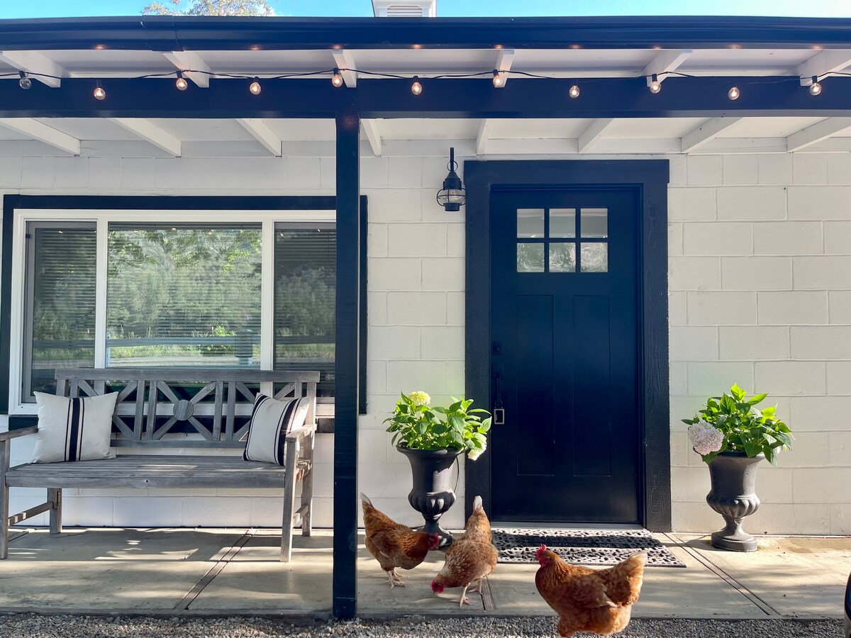 A charming entryway features a dark door framed by light-colored walls. A rustic bench sits against one wall, adorned with striped cushions. Two potted plants add greenery beside the entrance, while free-range chickens stroll along the concrete path beneath string lights strung overhead.