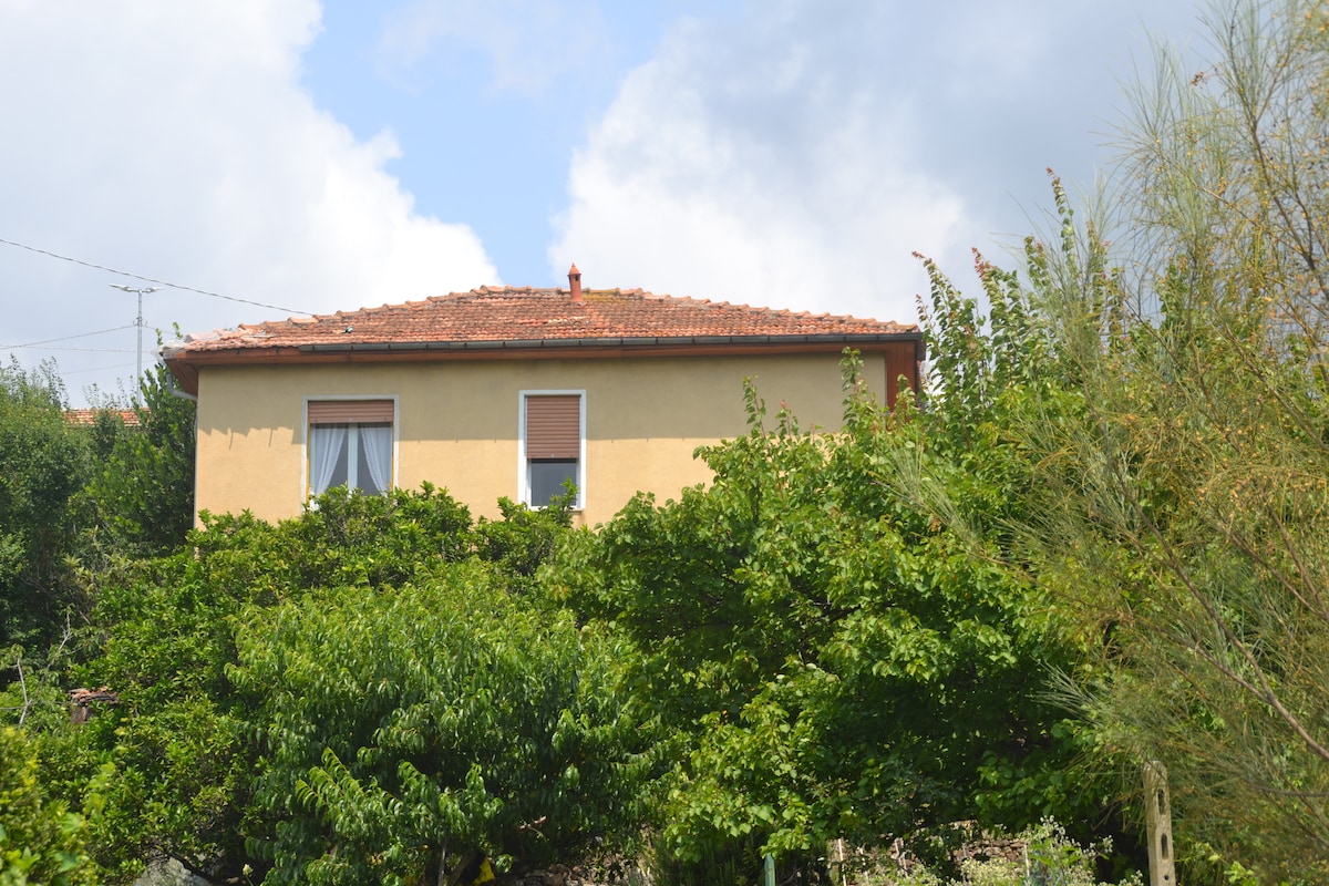 A two-story house is surrounded by lush greenery, showcasing a terracotta roof. The front features two windows with beige shutters, while a white curtain is partially visible. Trees and shrubs create a natural border around the property, contributing to a serene atmosphere.