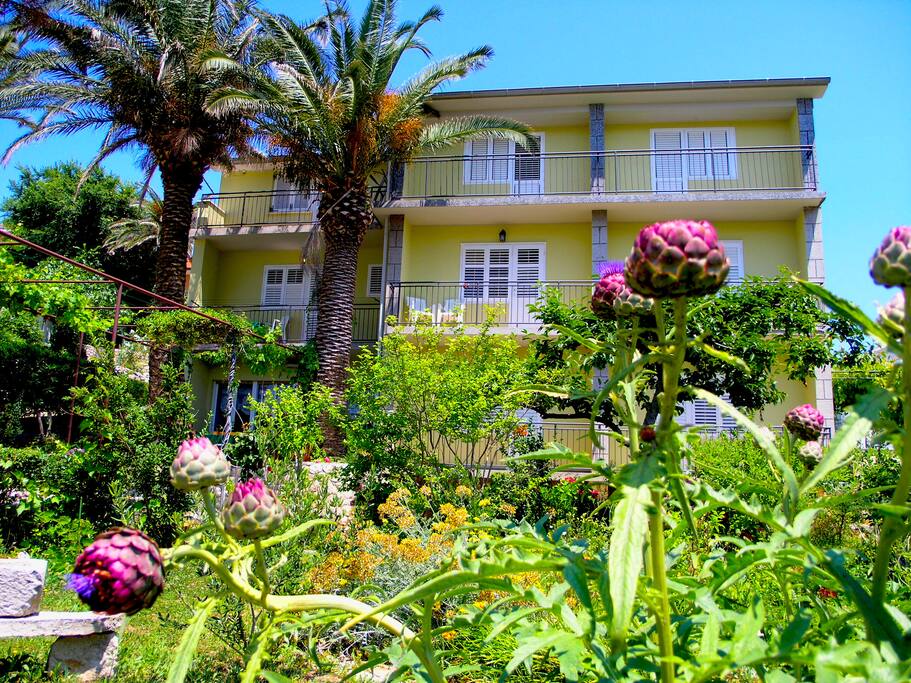 garden