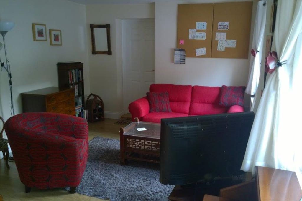 Living room with sofa bed and TV