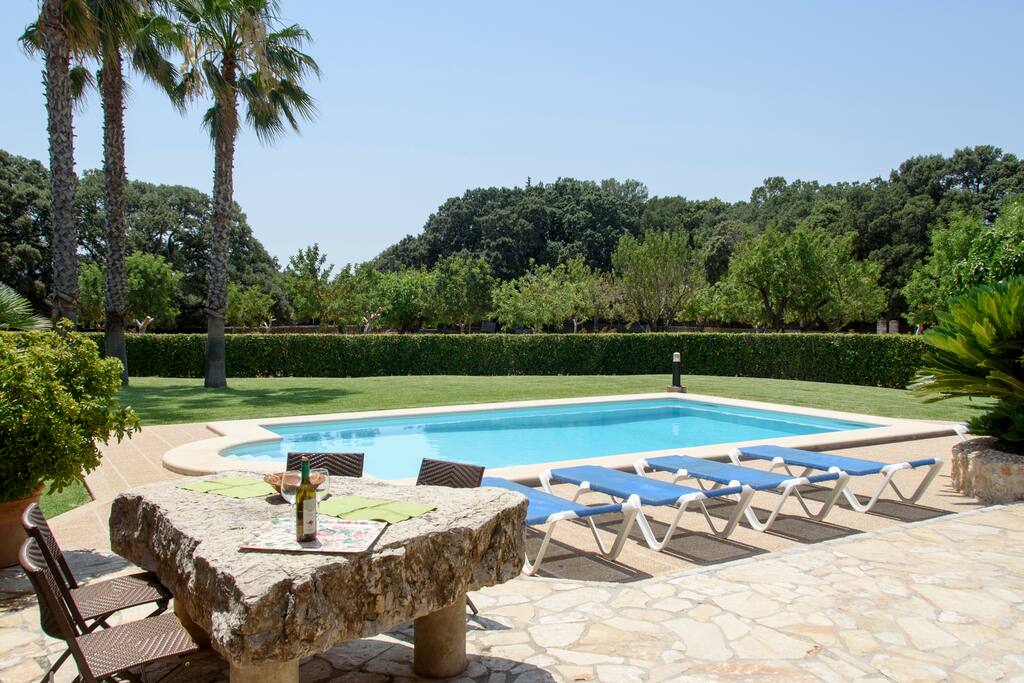 The Swimming Pool & Gardens