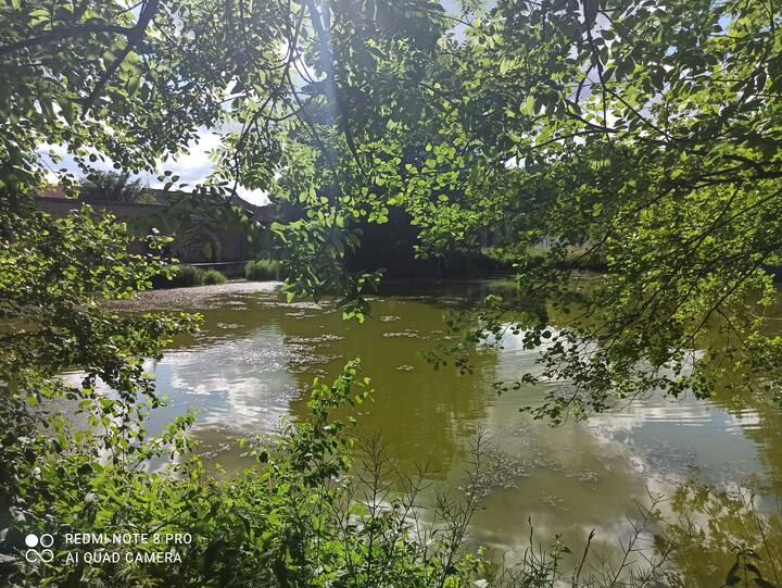 Vrigne-Aux-Bois Vacation Rentals & Homes - Grand Est, France | Airbnb