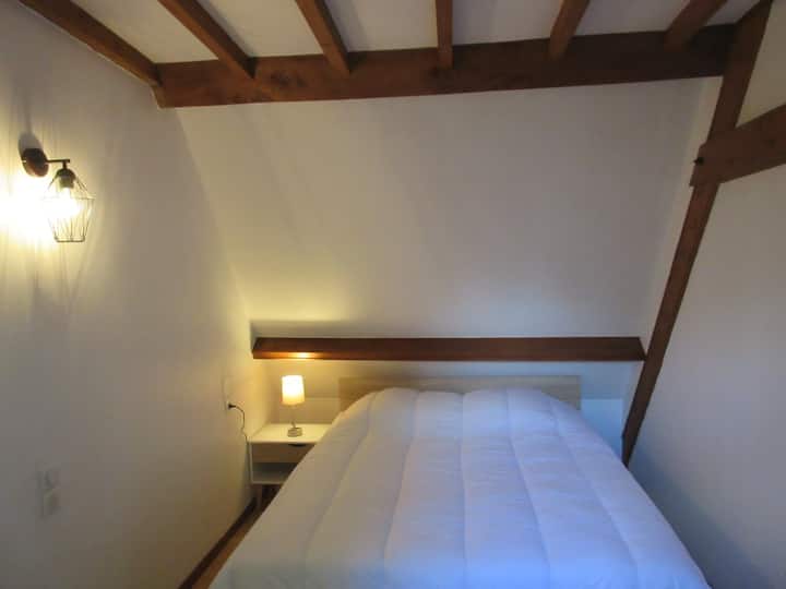 Izba s 1 manželskou posteľou veľkosti King