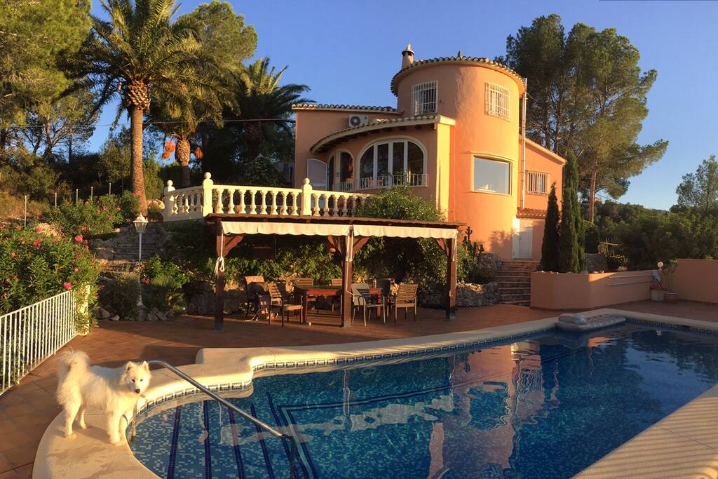 Pool & main house