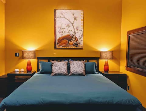 Modern Spacious Studio in Heart of Whiteaker!