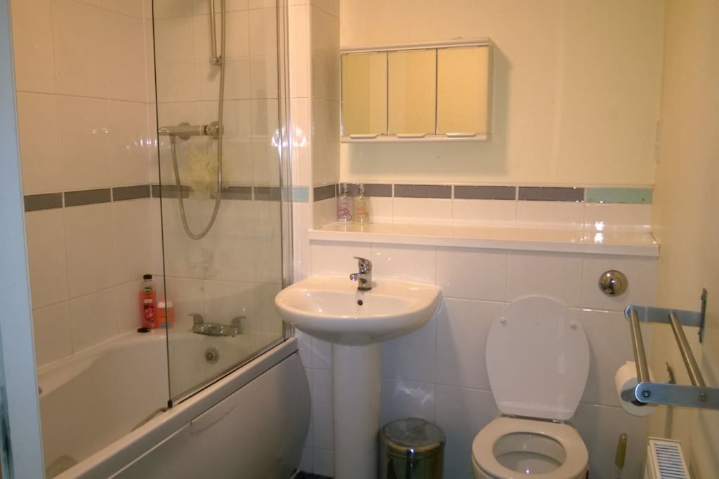 Bath and Shower combo