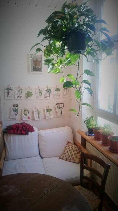 Common kitchen space