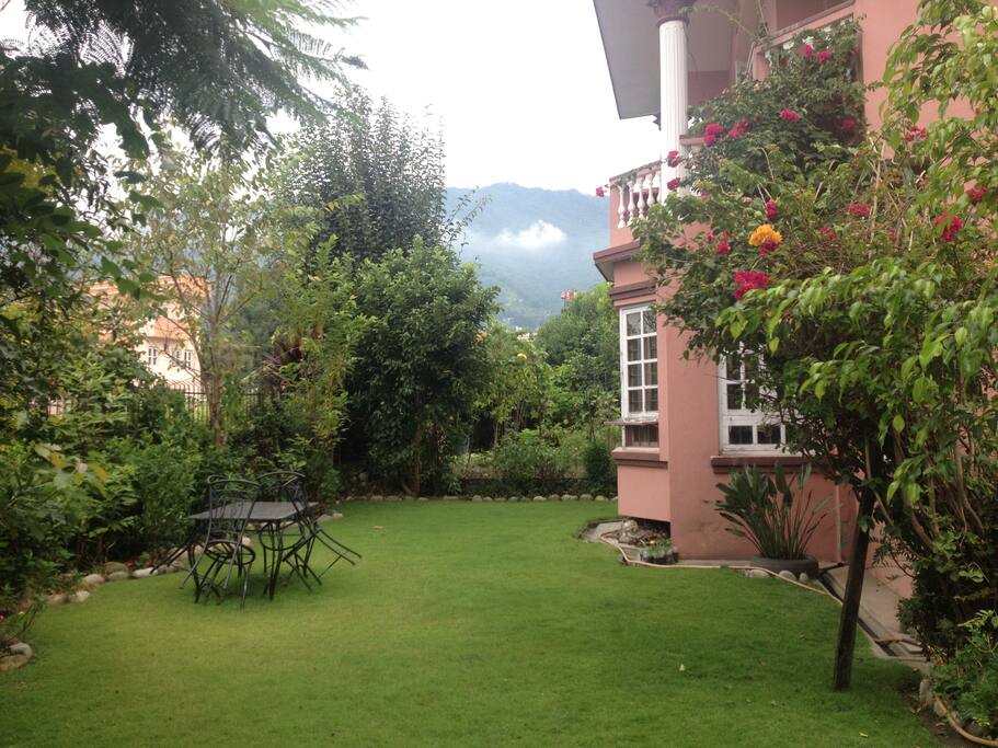 Enjoy greenery !!