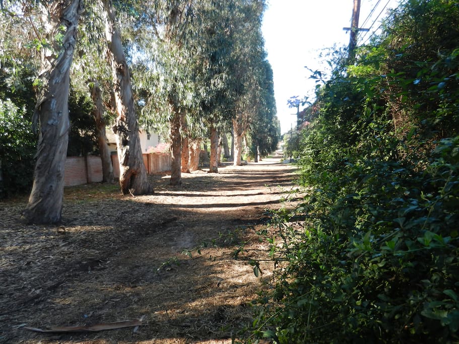 Direct gate access to the La Selva jogging trail!