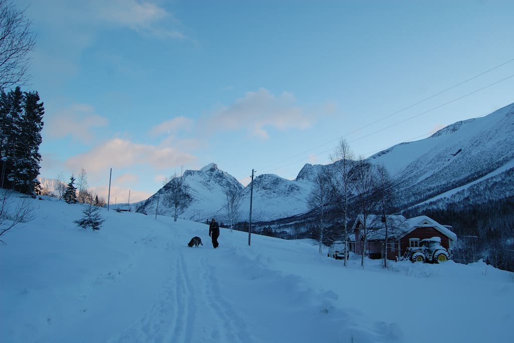 Utsikt framover i dalen.