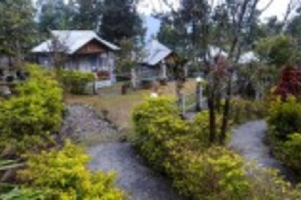 Cottages