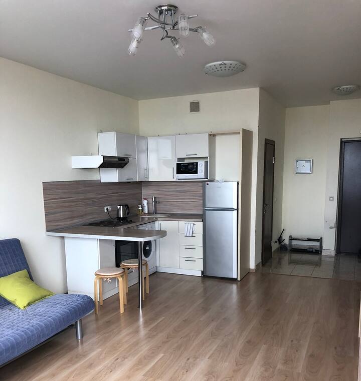 Квартира студия в санкт. Квартира студия в ижевске. Апартаменты эконом класса. Интерьер посуточной студии. Квартира с мебелью и техникой.