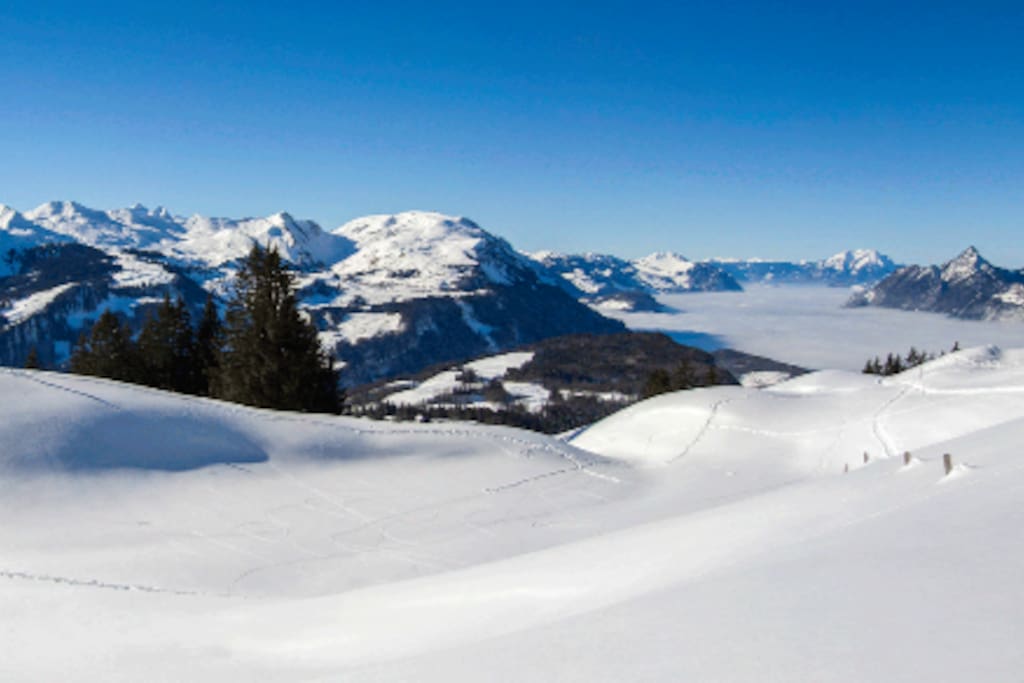 Wunderschöne Winter Region / Beautiful winter region