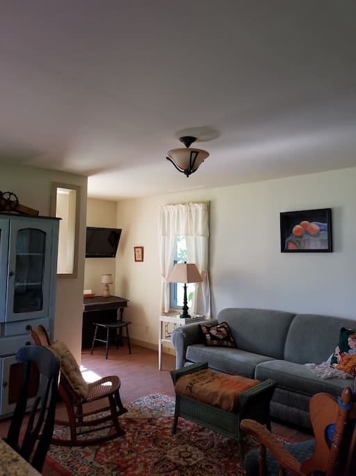 Living area with sofa bed.