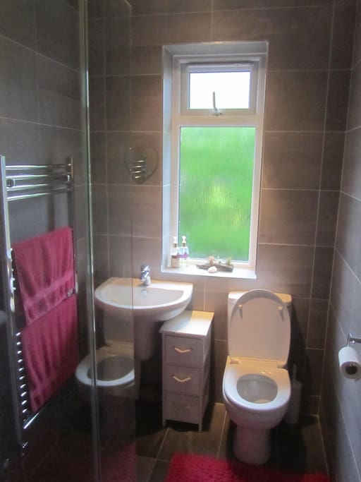 DOWNSTAIRS BATHROOM