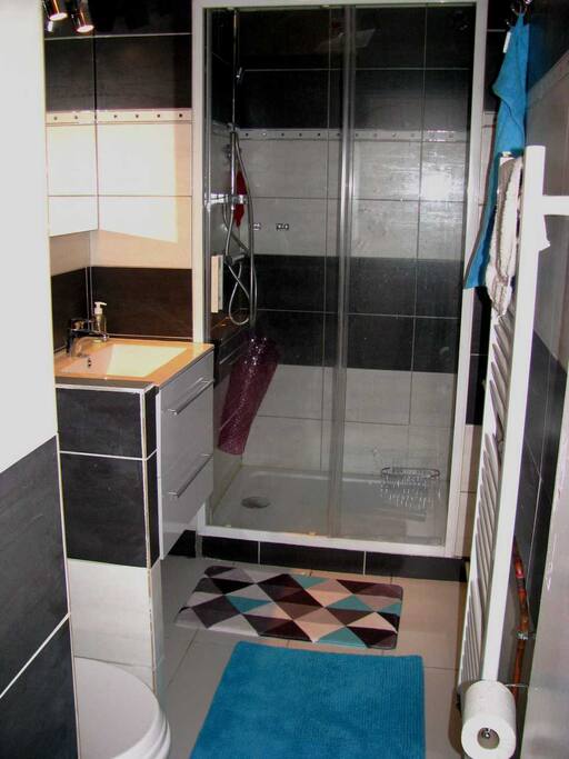 salle d'eau avec grande douche