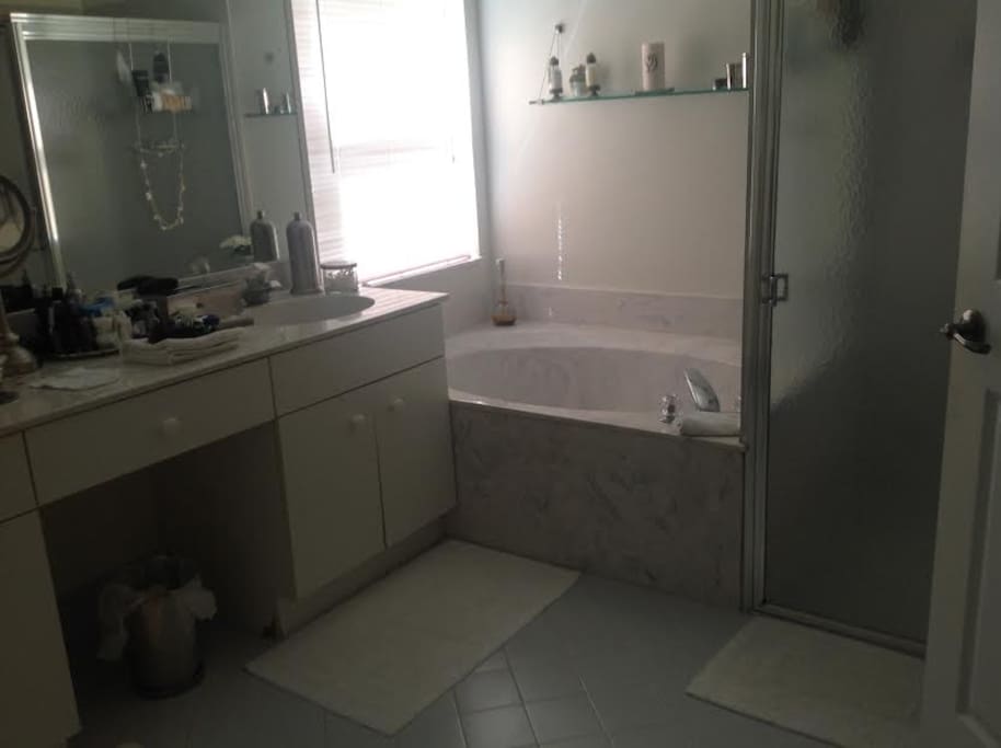 Master bathroom