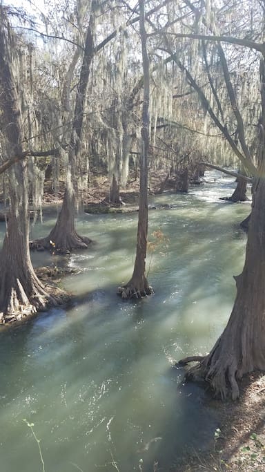 Castroville Park just a short kayak ride or walk down the river!
