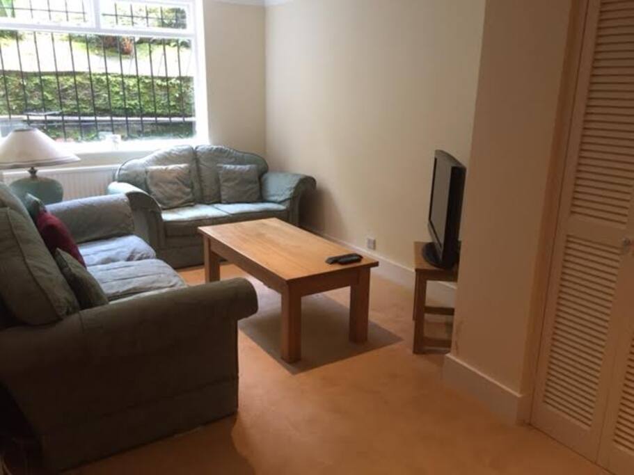 Large and comfy living room with TV