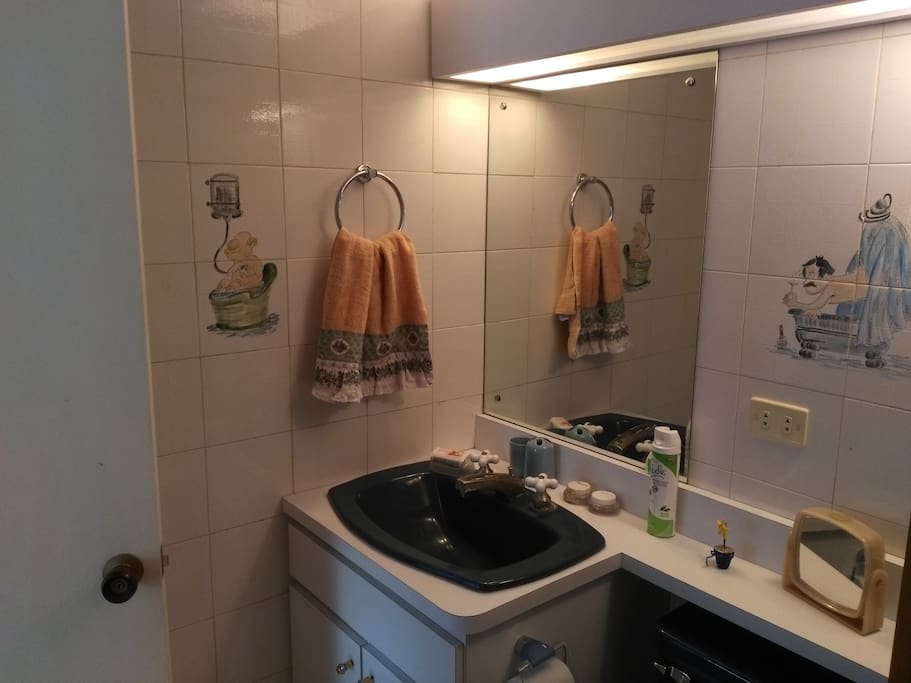 Baño con ducha y agua caliente