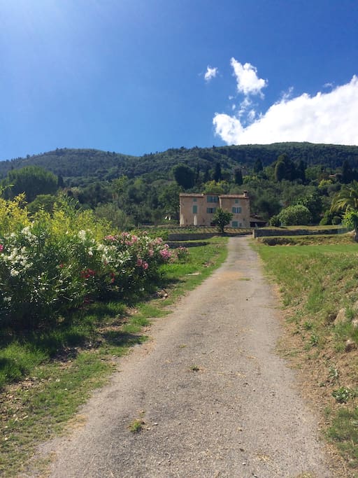 View from the gate