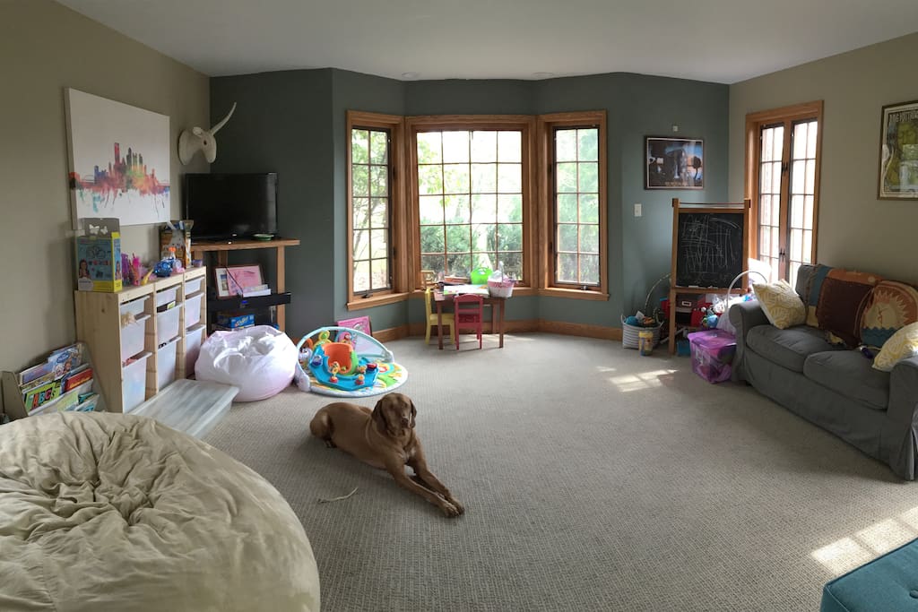 Playroom, or miscellaneous room. Vizsla not included.