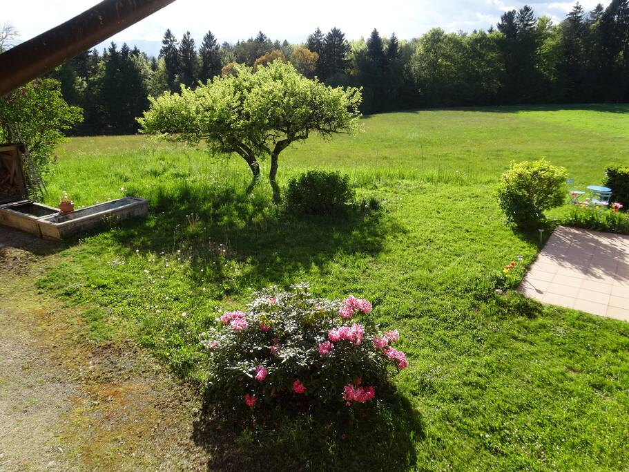 La vue depuis la chambre