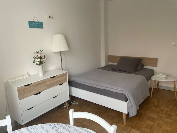 Spacious Apartment In Valence - Valence
