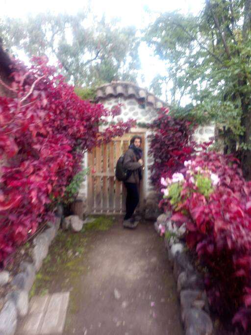 Entry to the house