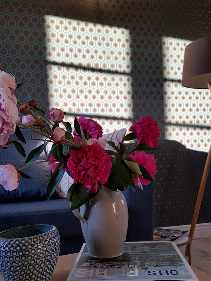 غرفة معيشة مع سرير أريكة 